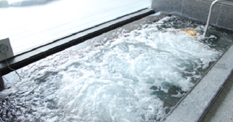 水風呂の雰囲気：ホテルマウント富士