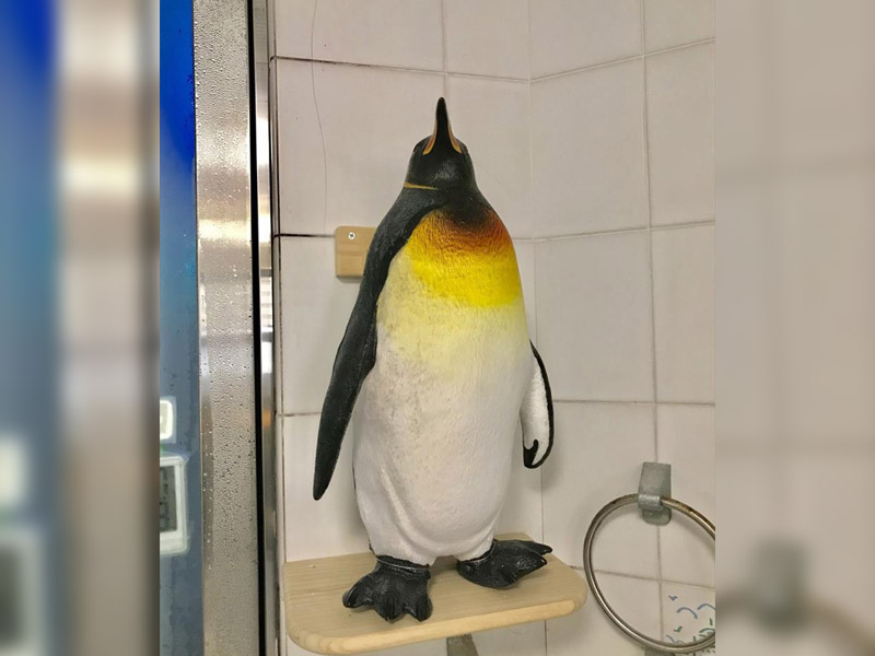 サウナ・水風呂・外気浴の雰囲気｜サウナセンター
